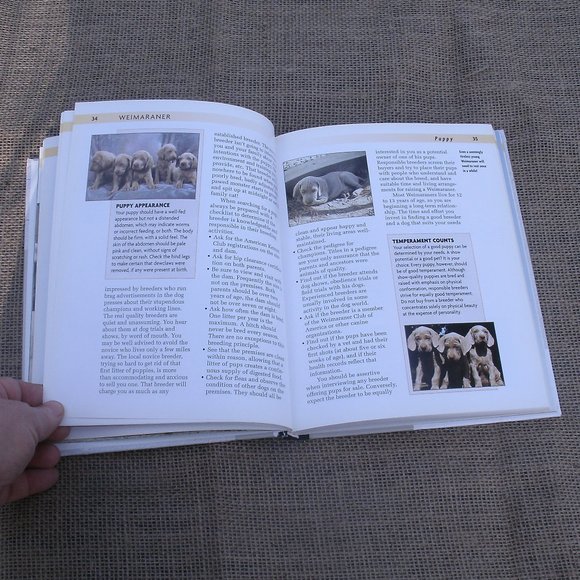 Weimaraner A Comprehensive Guide Dog Book - Picture 11 of 16
